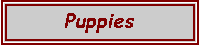 Text Box: Puppies