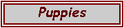 Text Box: Puppies
